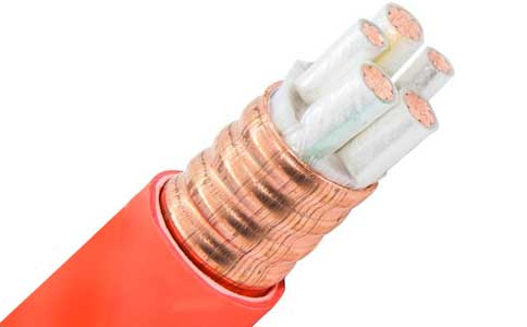 <a href='http://sutee.cn/kuangwuzhidianlan/' target='_blank'><u>礦物質(zhì)電纜</u></a>