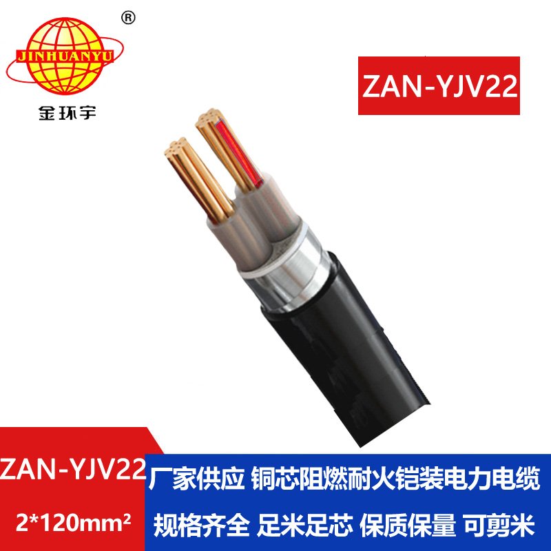 金環(huán)宇電線電纜 ZAN-YJV22-2X120平方 阻燃a級耐火銅