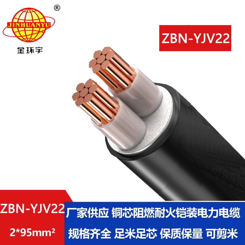 金環(huán)宇電線電纜 ZBN-YJV22-2X95平方 阻燃耐火鎧裝電